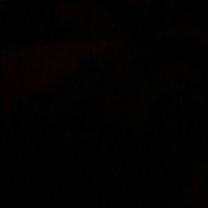 Meet your Posher, Addi